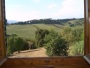 Vista su colline del chianti