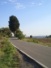 Strada dalla casa per Ginestra F.na, cipresso a 100 mt.